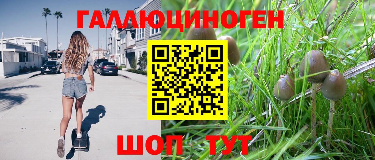 Галлюциногенные грибы мицелий Рыбинск
