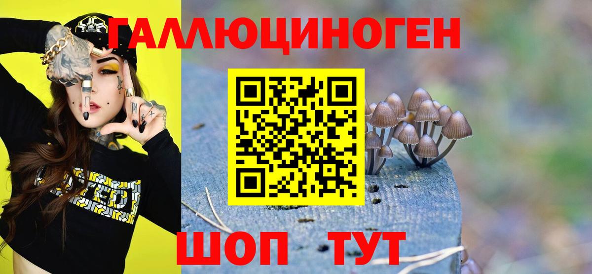 Псилоцибиновые грибы Psilocybe  Вход с VPN  Рыбинск 